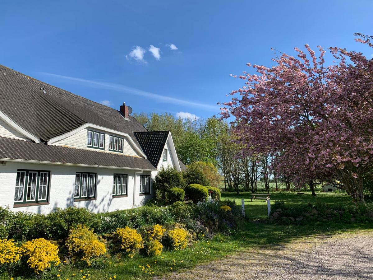 Landhaus Haack Tumlauer Koog Exterior photo